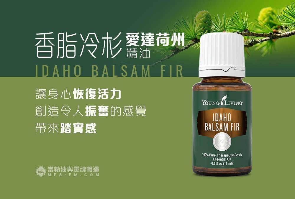 愛達荷州香脂冷杉 Idaho balsam fir－帶來踏實感
