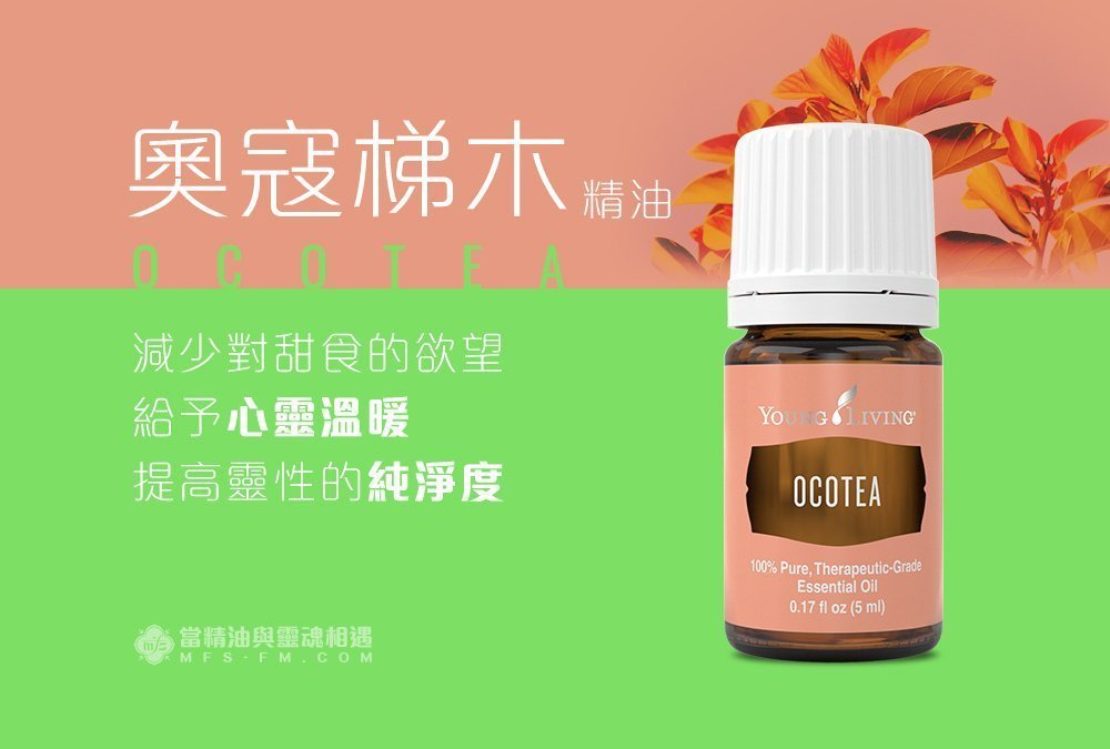 奧寇梯木精油 Ocotea－給予心靈溫暖