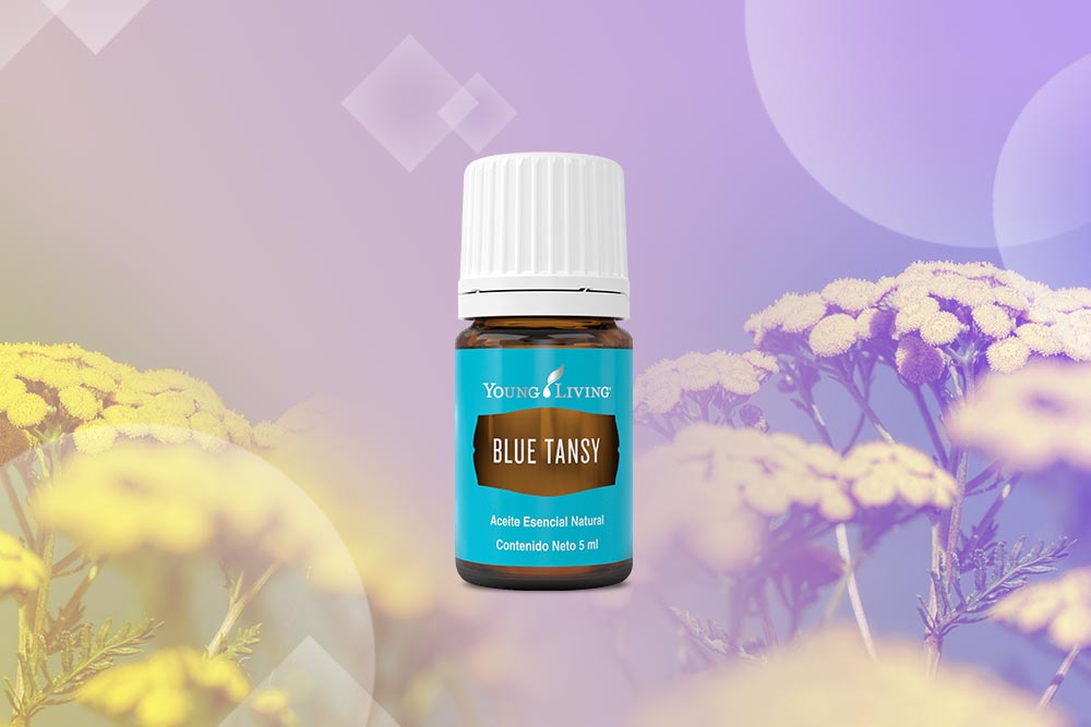 藍艾菊精油 Blue tansy：與靈魂對話的深層療癒
