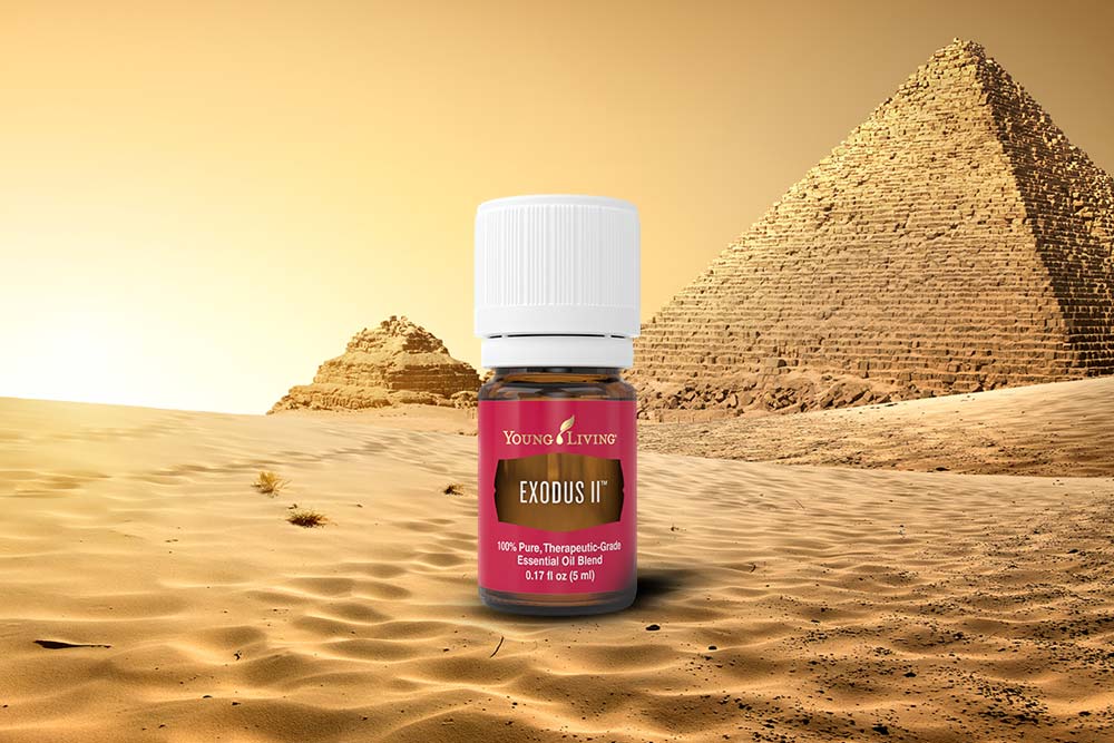 出埃及記精油 Exodus II 古老智慧與現代科技的靈性連結